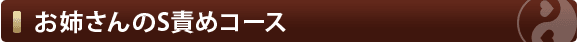 お姉さんのS責めコース